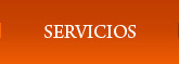 Servicios